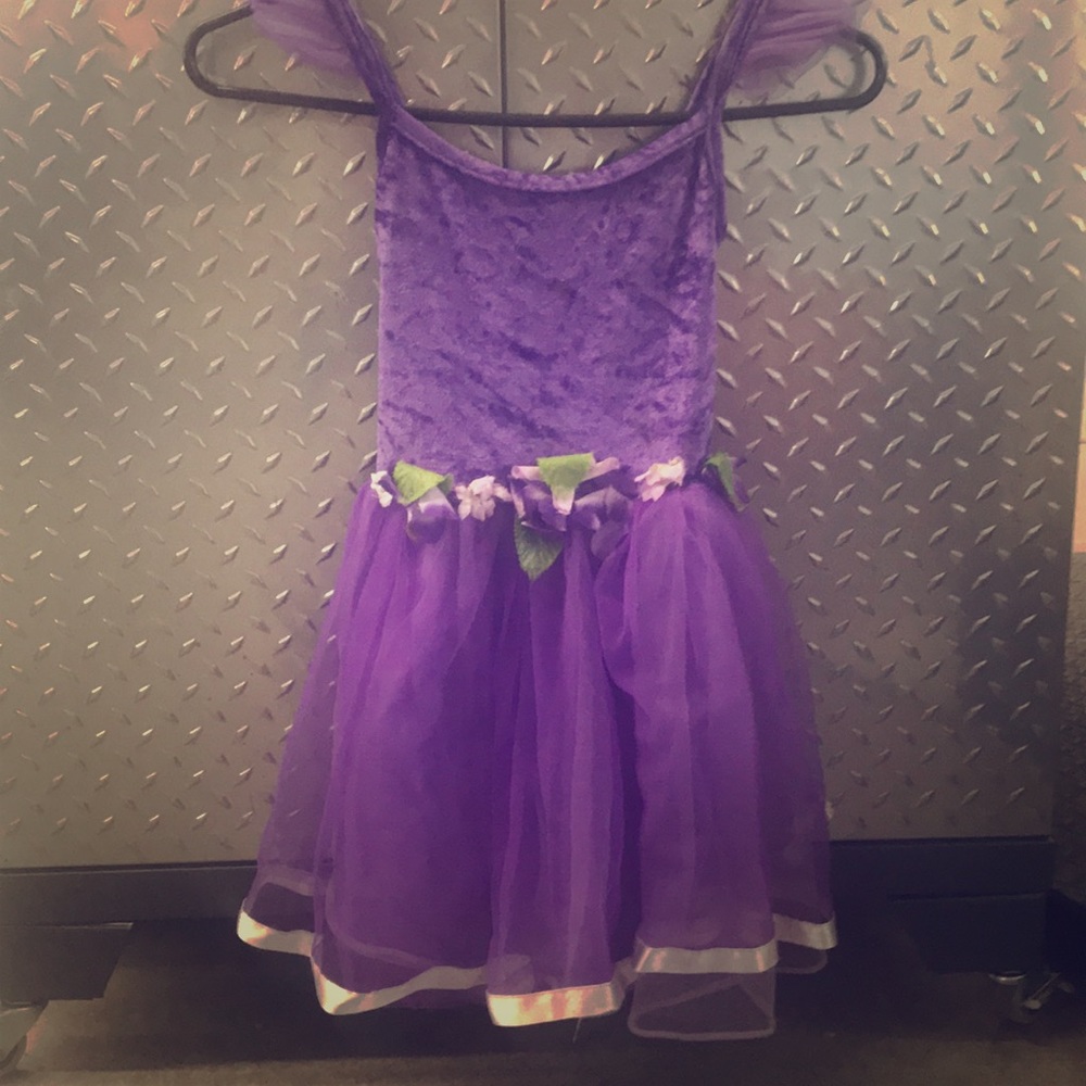 Fairy Dress Up costume